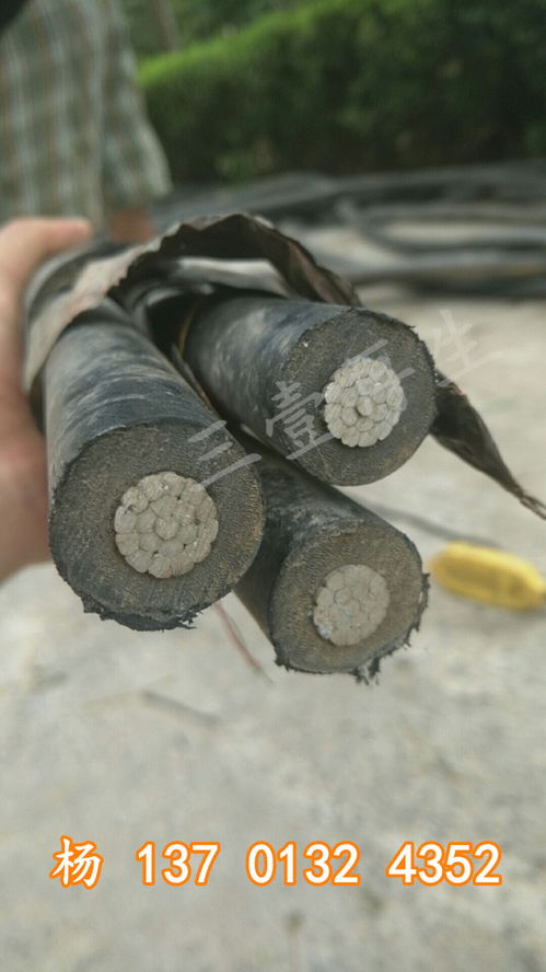 2021年沙洋船用電纜回收 集團在線報價服務全面啟動