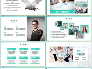 歐美風工業(yè)互聯(lián)網(wǎng)數(shù)據(jù)服務企業(yè)簡介與融資計劃書（課件編號 26922607）